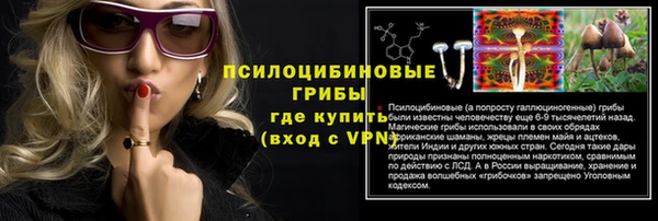 круглые Алексеевка