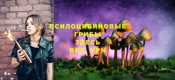 круглые Алексеевка