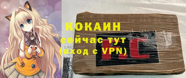 дживик Абаза