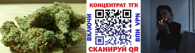 купить  сайты  Суровикино  ТГК Wax 
