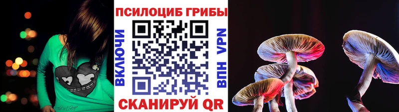 Псилоцибиновые грибы прущие грибы  mega маркетплейс  Суровикино 